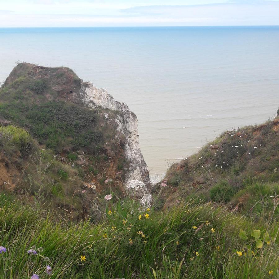 Les Flots Lägenhet Saint-Valery-en-Caux Exteriör bild